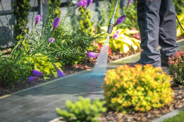 Trusted Manson, IA Pressure Washing Services Experts